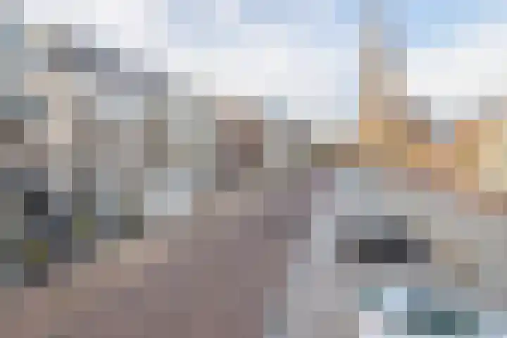 Markt 10 05 Veghel thumbnail 36