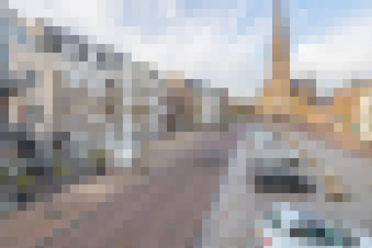 Markt 10 07 Veghel thumbnail 36