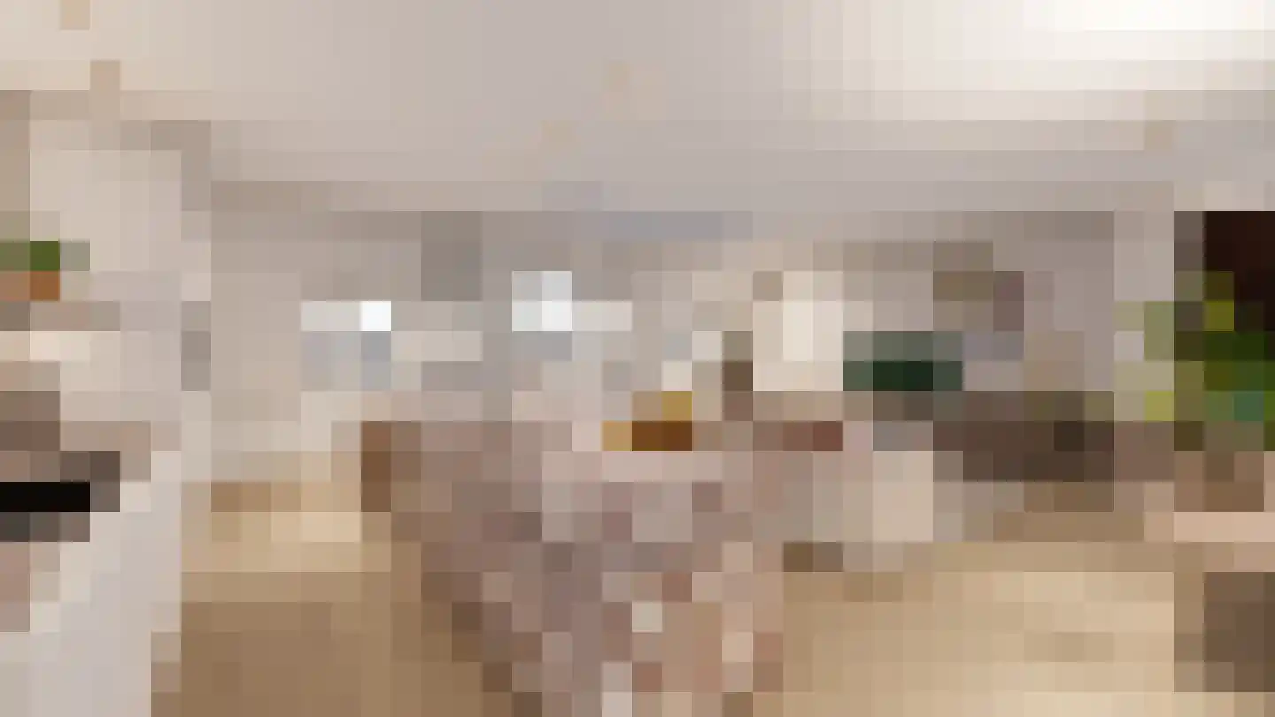Markt 10 17 Veghel thumbnail 9