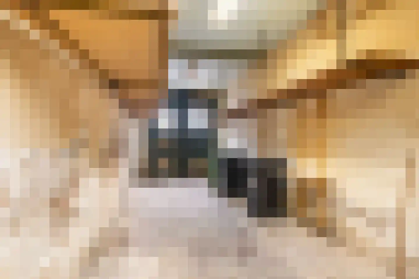 Markt 10 Poortvliet thumbnail 4