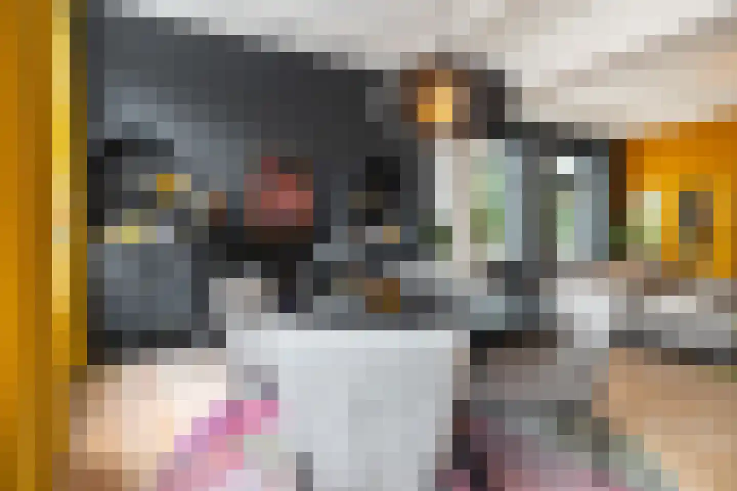 Markt 10 Steenbergen thumbnail 14