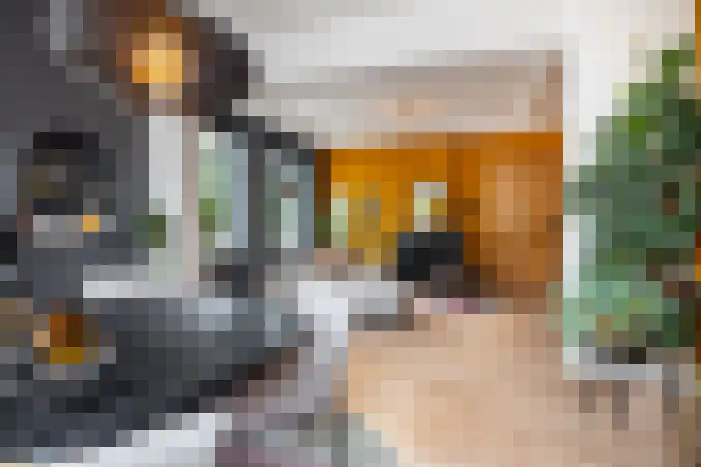 Markt 10 Steenbergen thumbnail 15