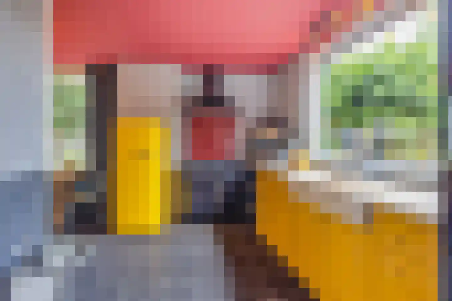 Markt 10 Steenbergen thumbnail 23