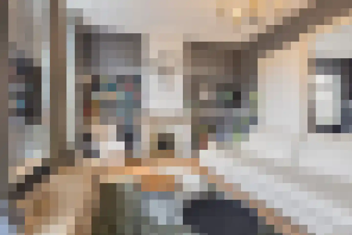 Markt 10 Steenbergen thumbnail 35