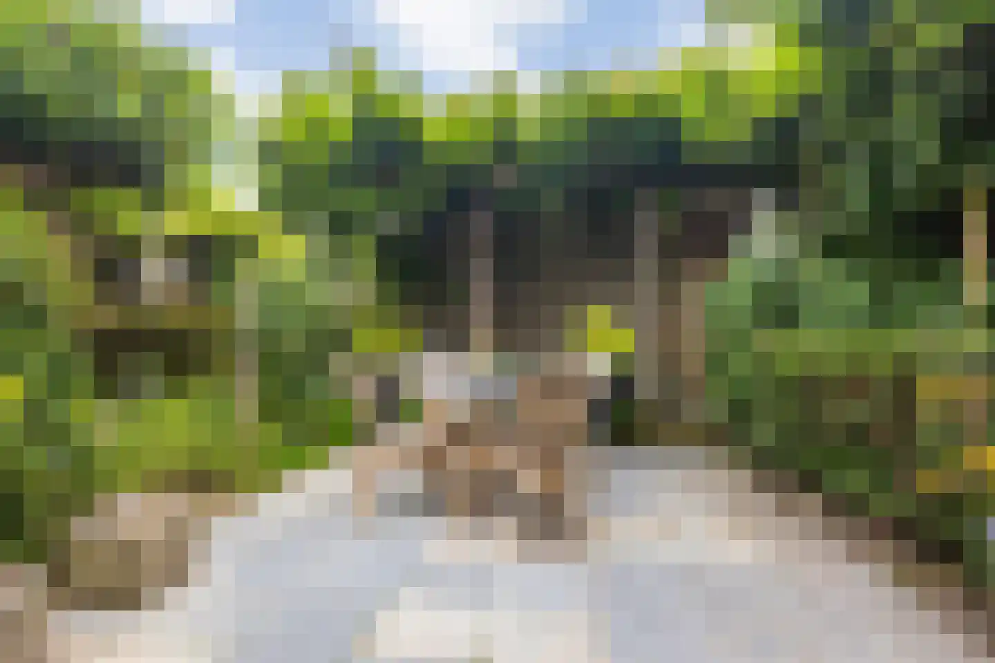 Markt 10 Steenbergen thumbnail 56