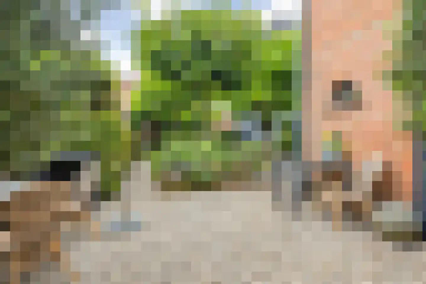 Markt 10 Steenbergen thumbnail 60