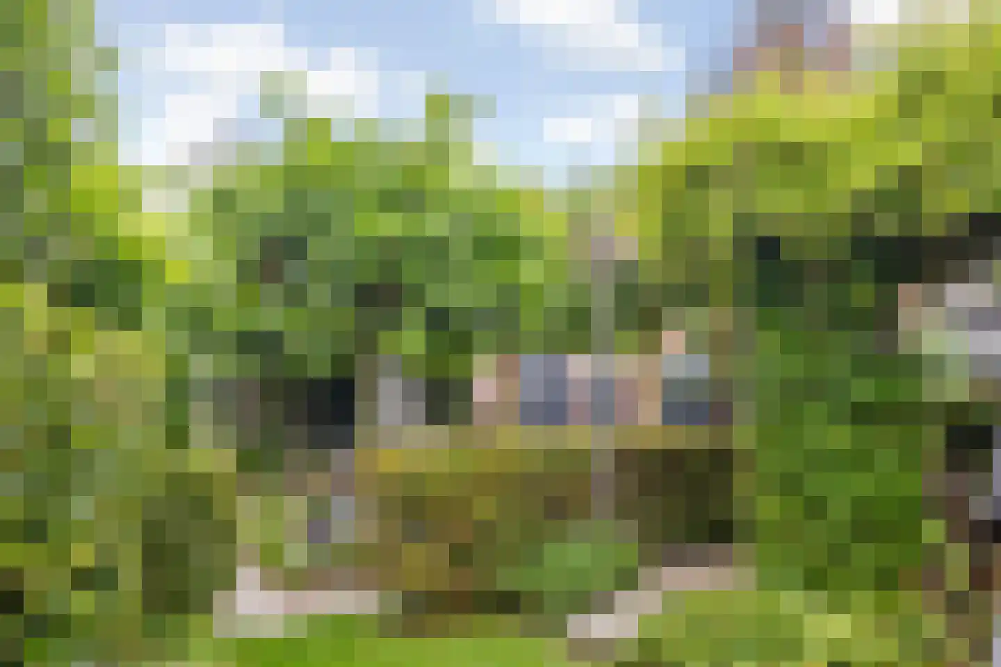 Markt 10 Steenbergen thumbnail 61