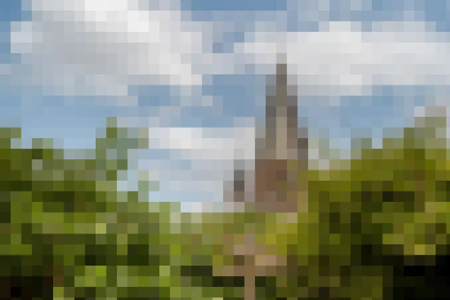 Markt 10 Steenbergen thumbnail 62