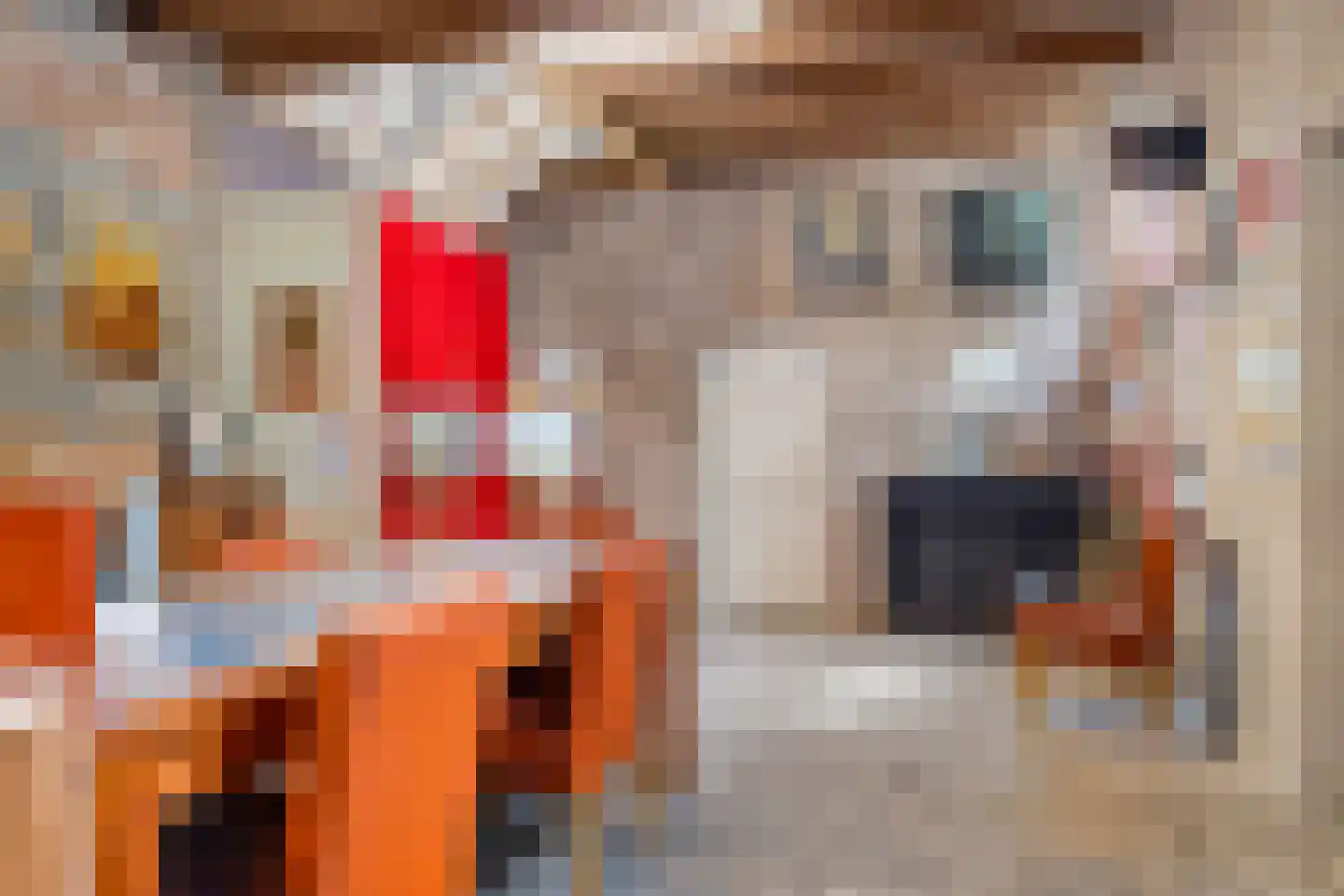 Markt 10 Steenbergen thumbnail 68