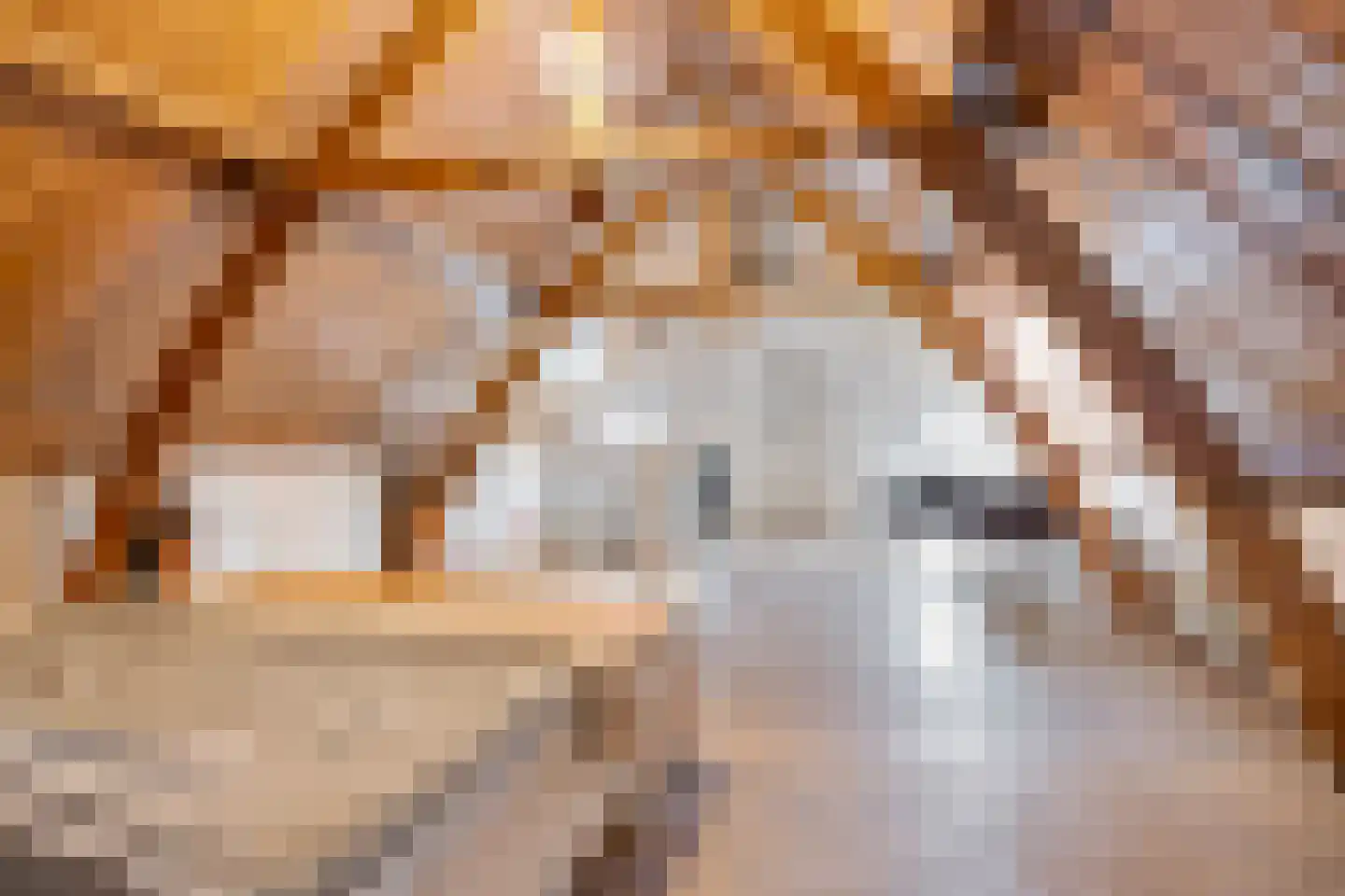 Markt 10 Steenbergen thumbnail 72