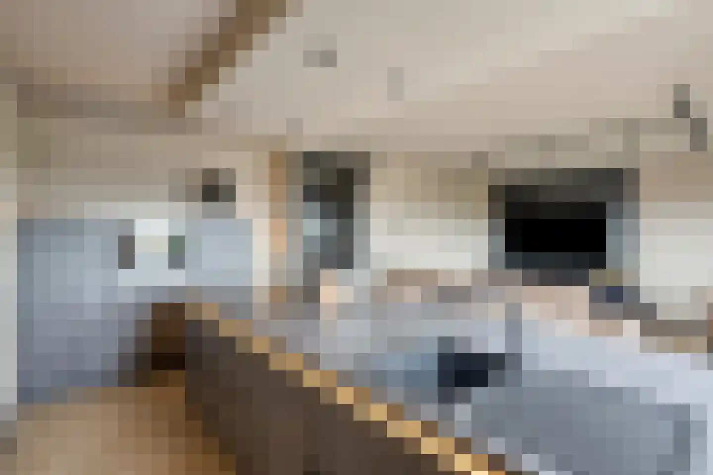 Markt 100 Beverwijk thumbnail 13
