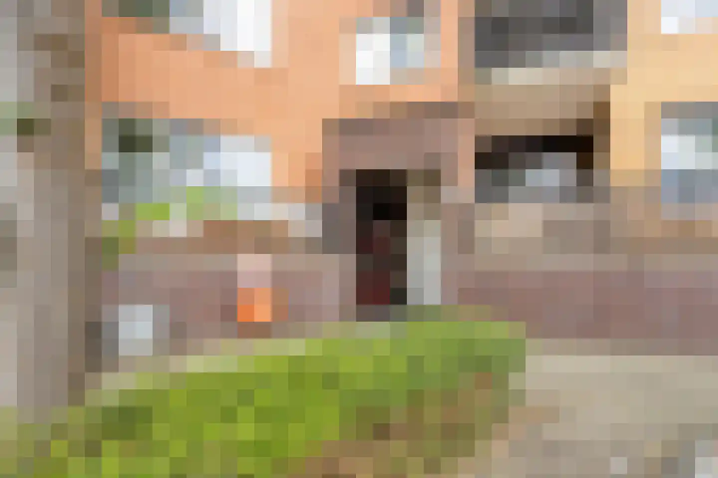 Markt 100 Beverwijk thumbnail 37