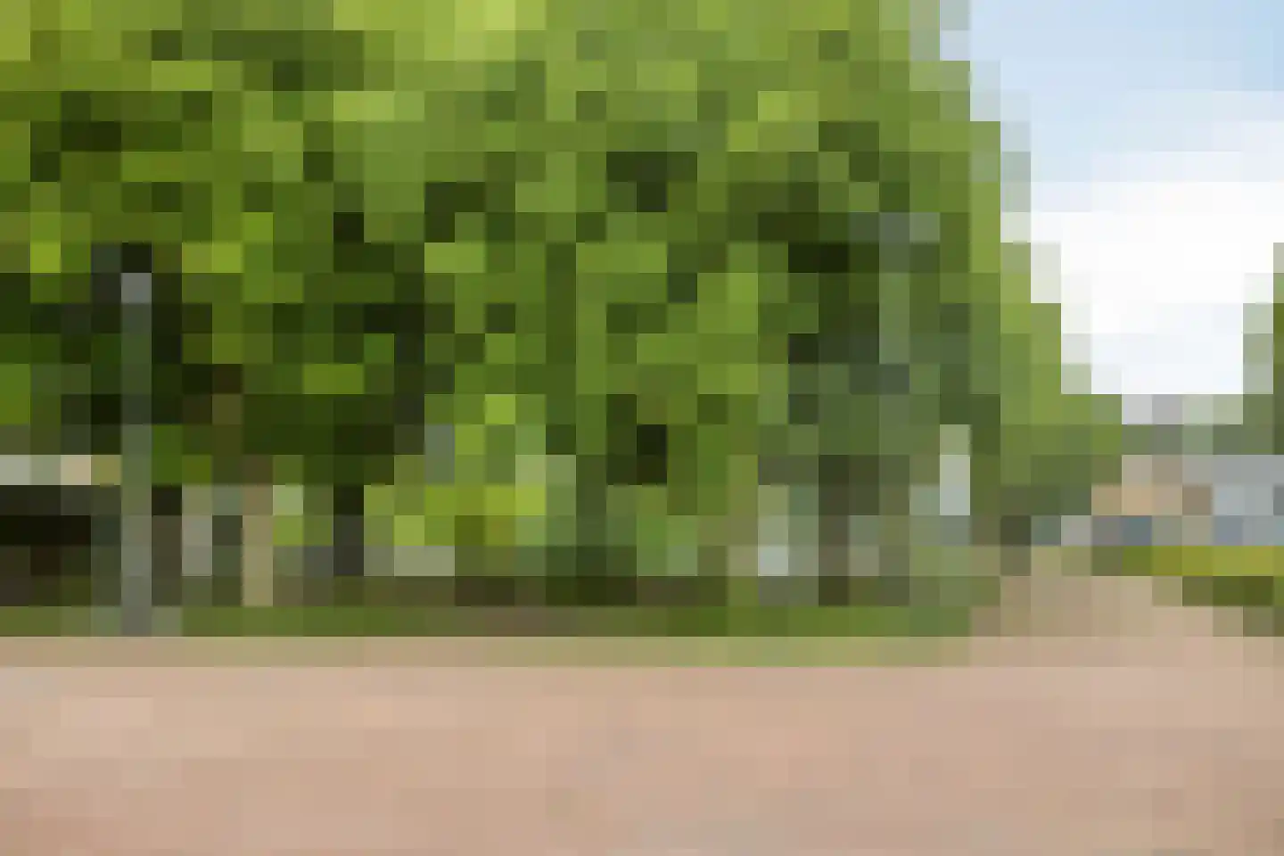 Markt 100 Beverwijk thumbnail 40