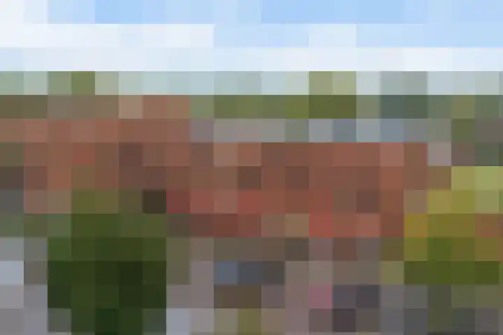 Markt 100 Burgum thumbnail 40