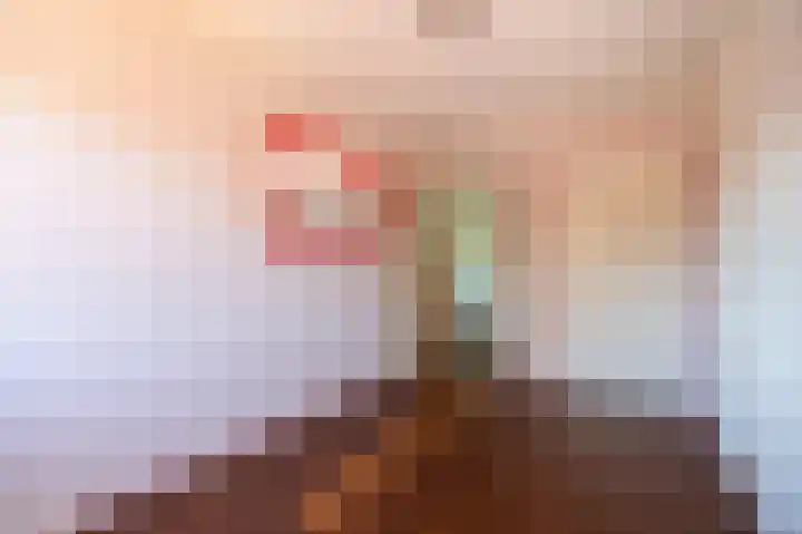 Markt 103 Etten-Leur thumbnail 23