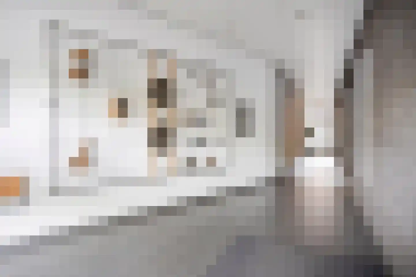 Markt 109 E Geleen thumbnail 30