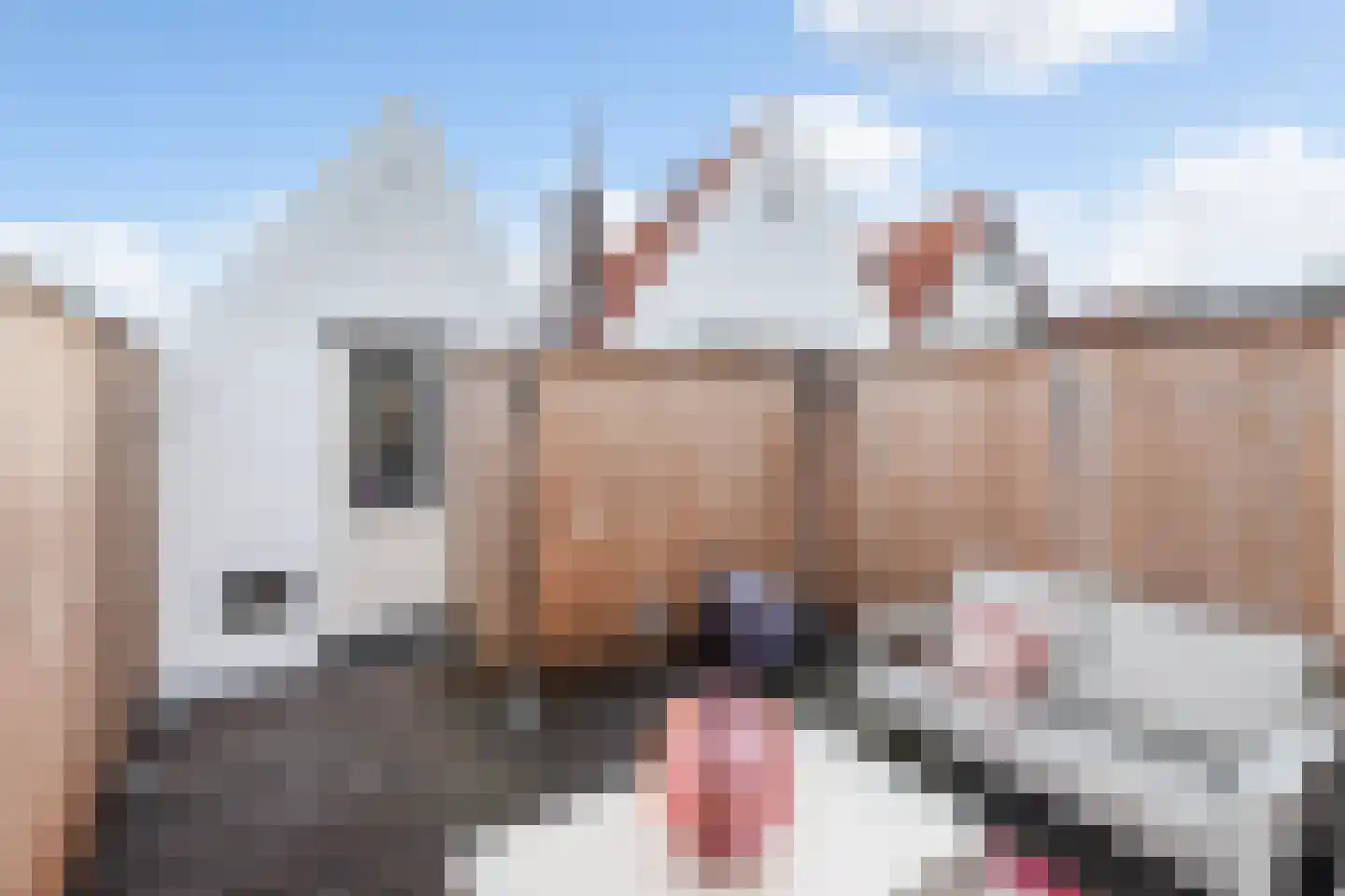 Markt 11 A Maassluis thumbnail 27