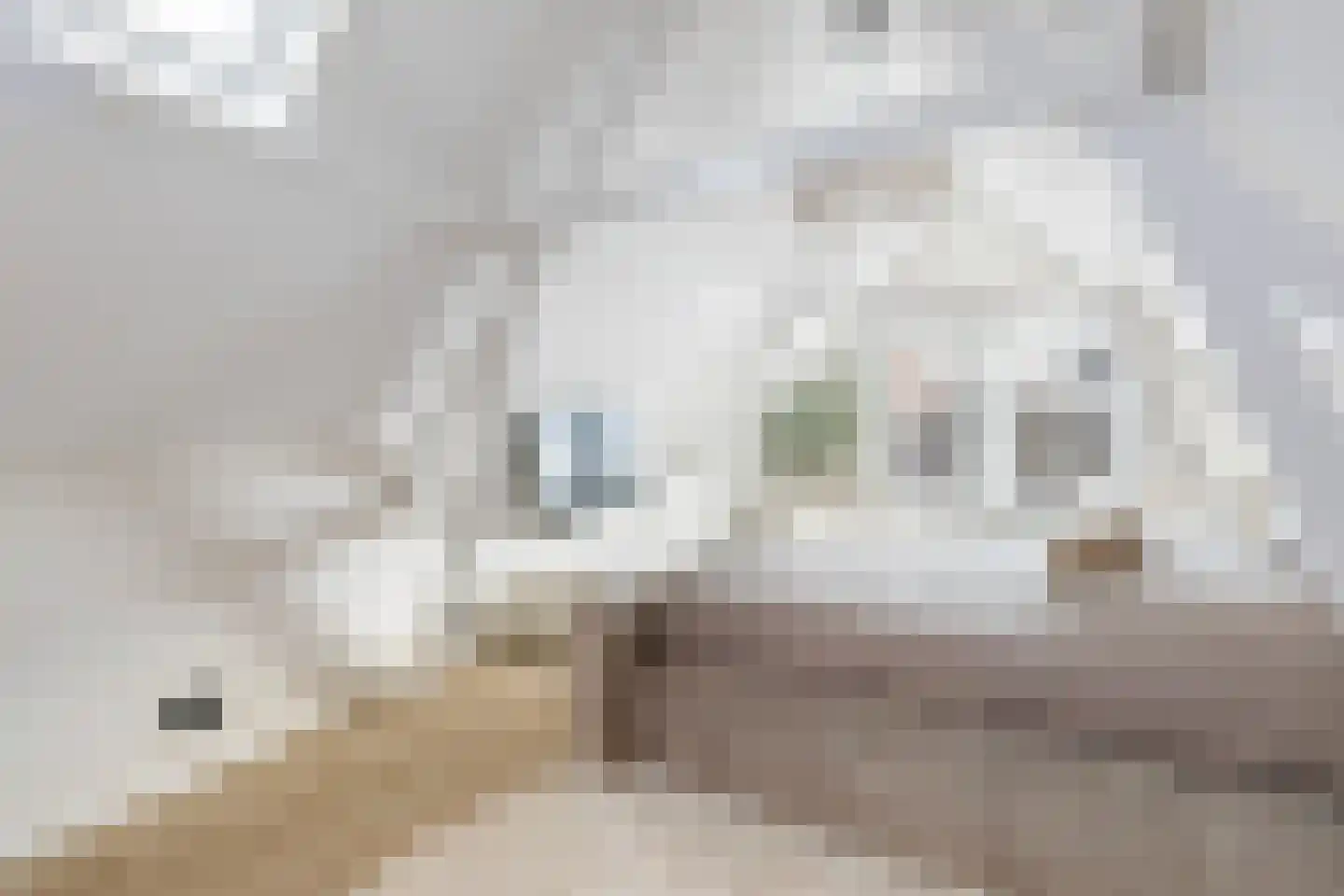 Markt 11 A Maassluis thumbnail 31