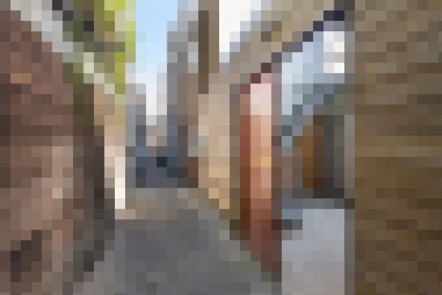 Markt 11 B Maassluis thumbnail 39