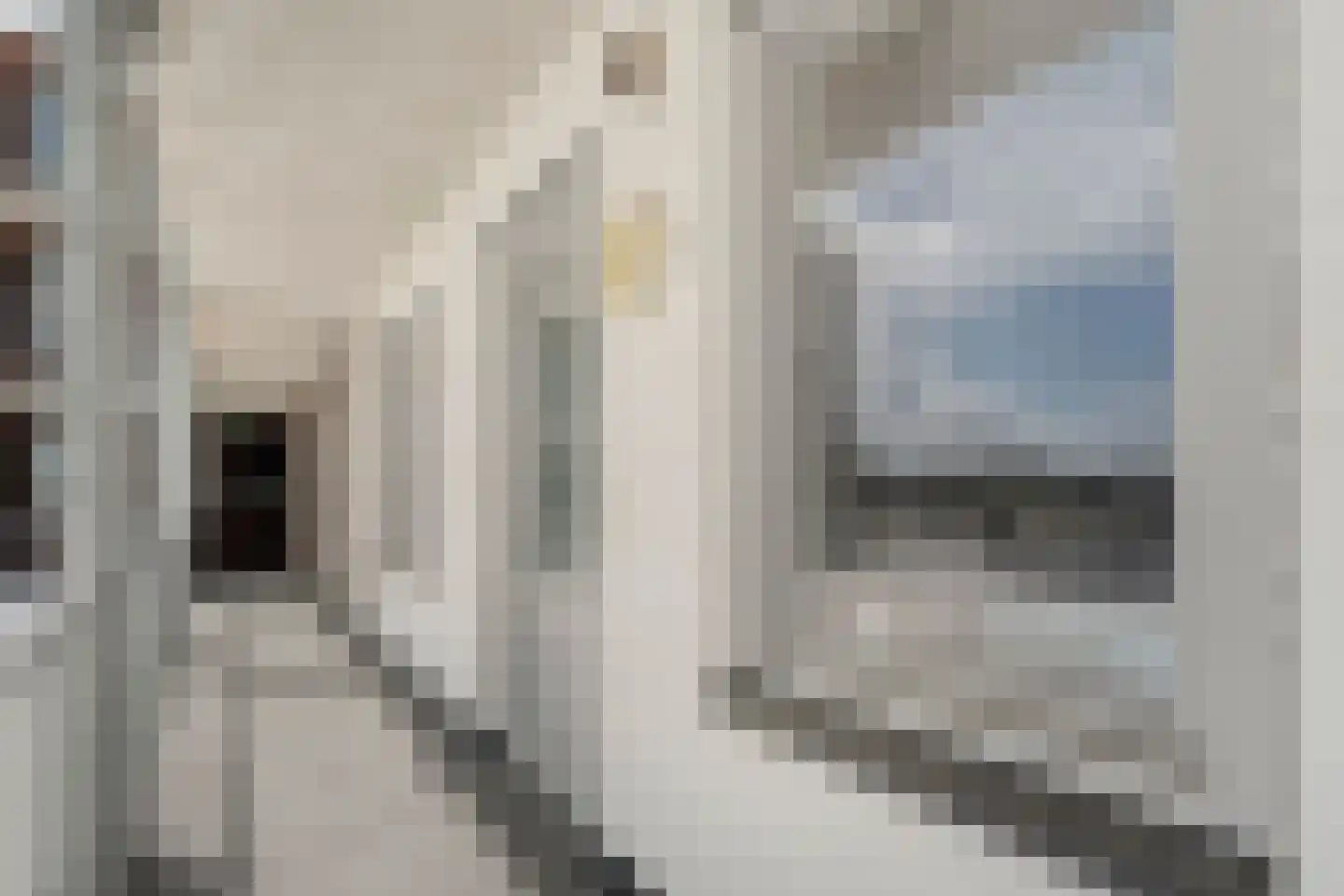 Markt 111 Dedemsvaart thumbnail 10