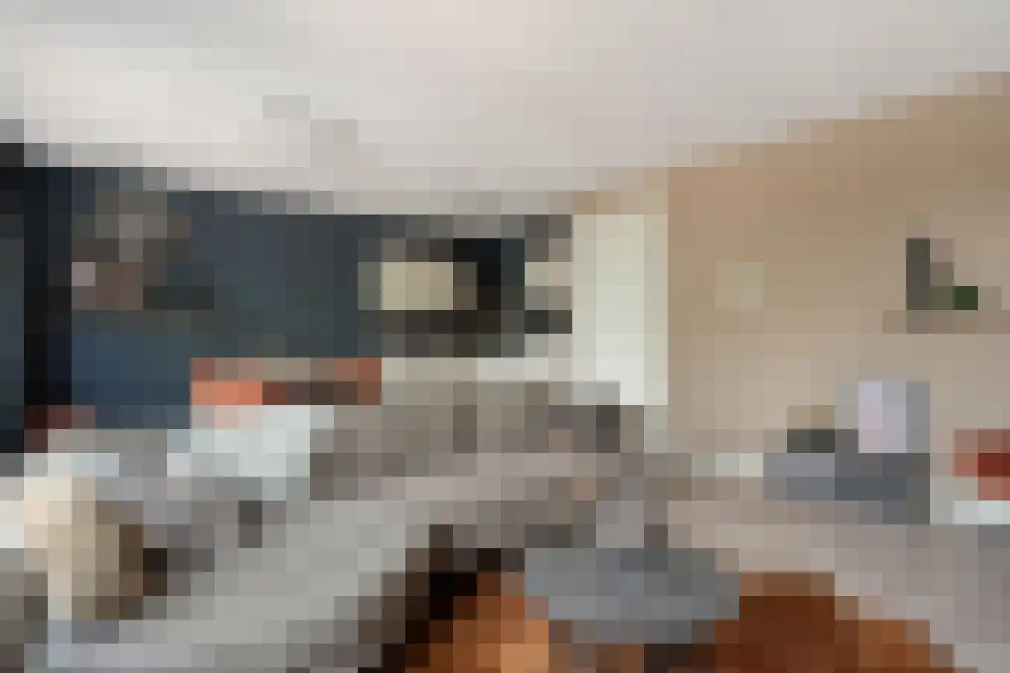 Markt 111 Dedemsvaart thumbnail 14