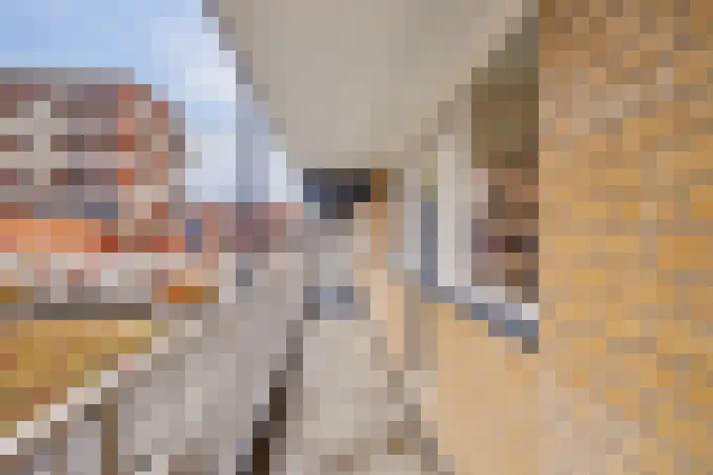 Markt 116 Nieuwegein thumbnail 7