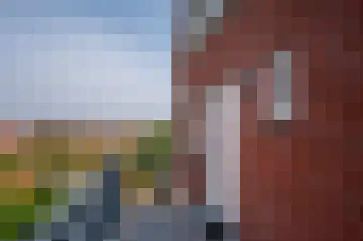 Markt 12 C Velden thumbnail 11