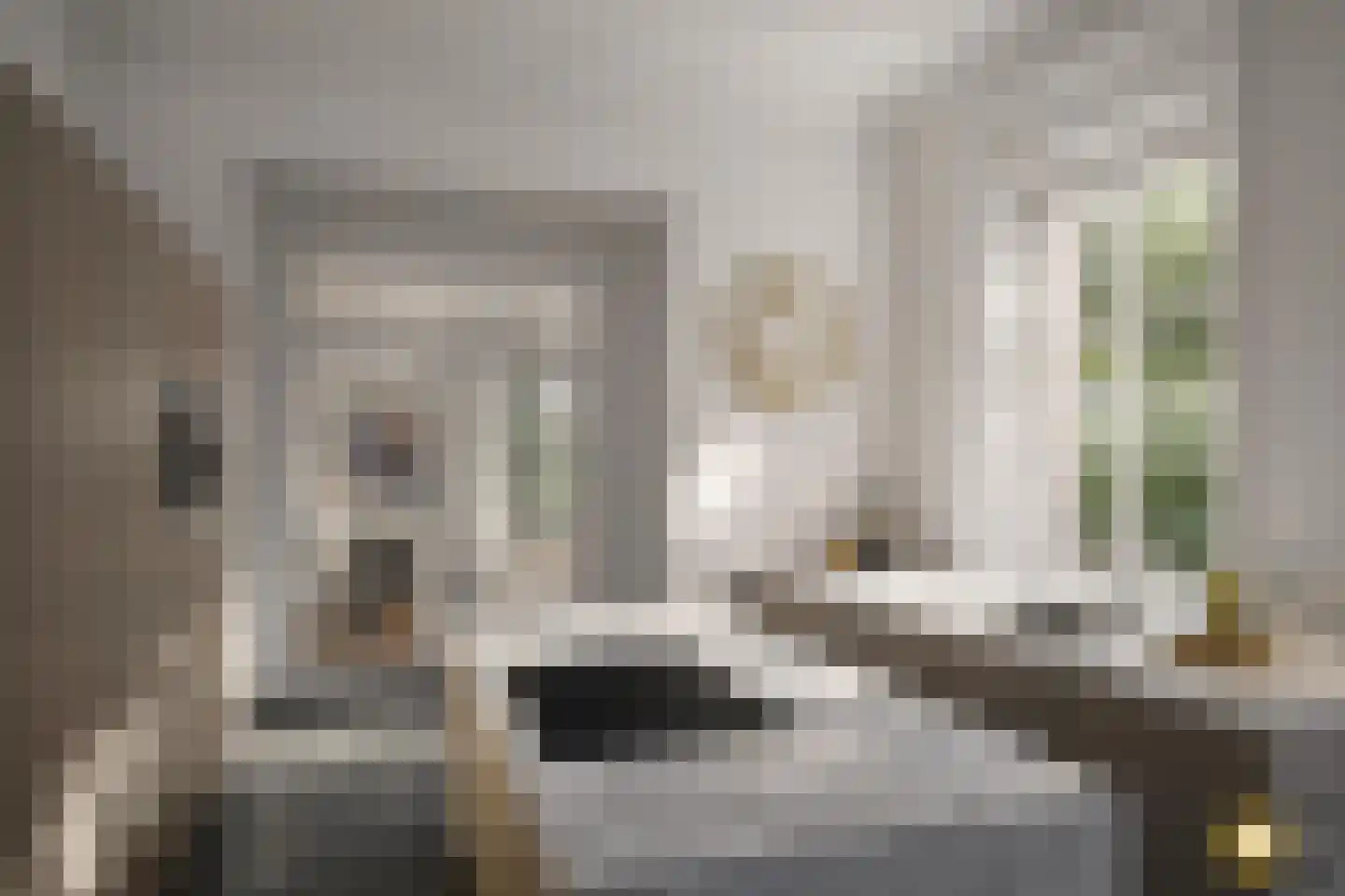 Markt 12 Haaksbergen thumbnail 6