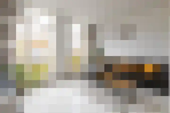 Markt 12 Harderwijk thumbnail 13