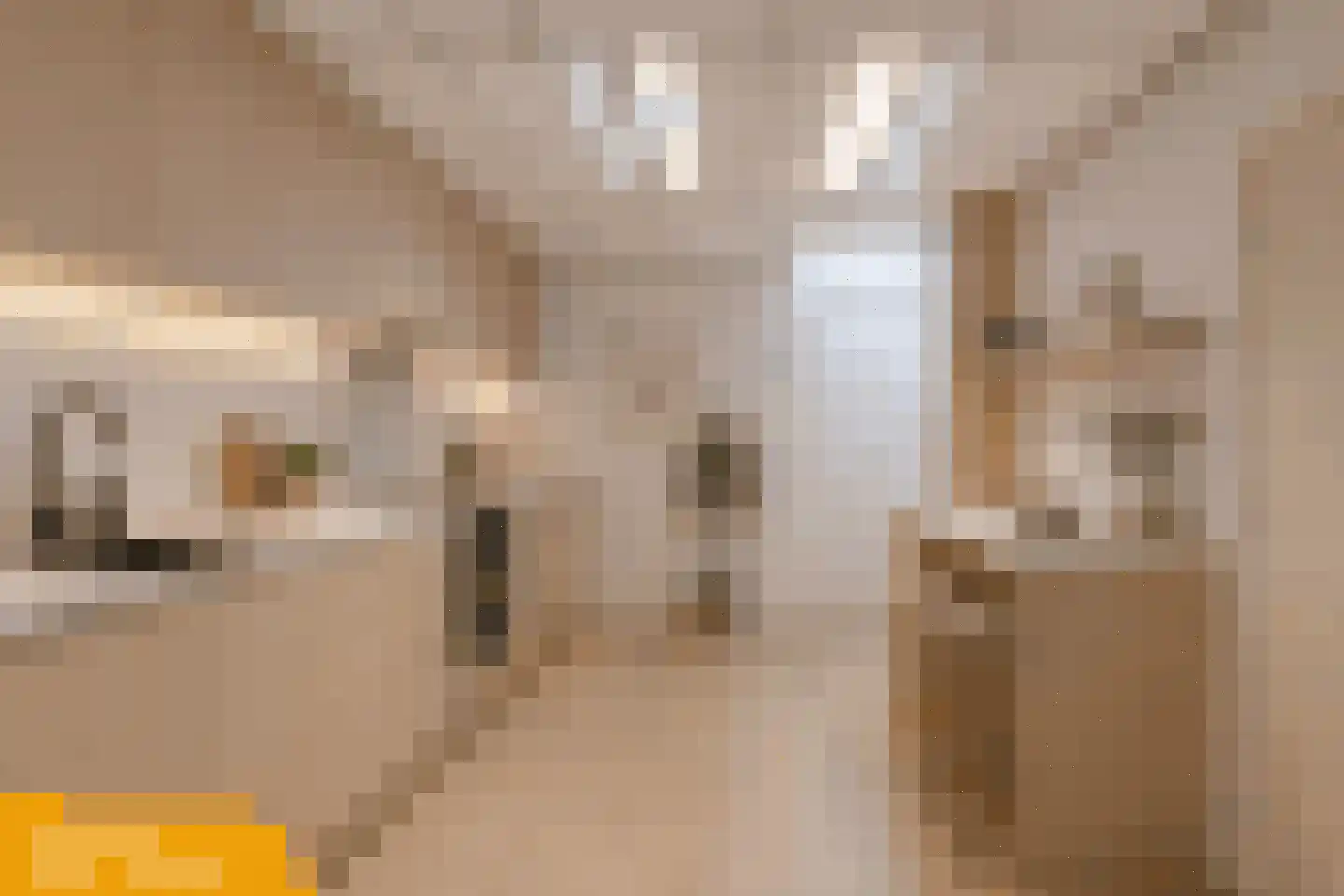 Markt 12 Makkum thumbnail 12