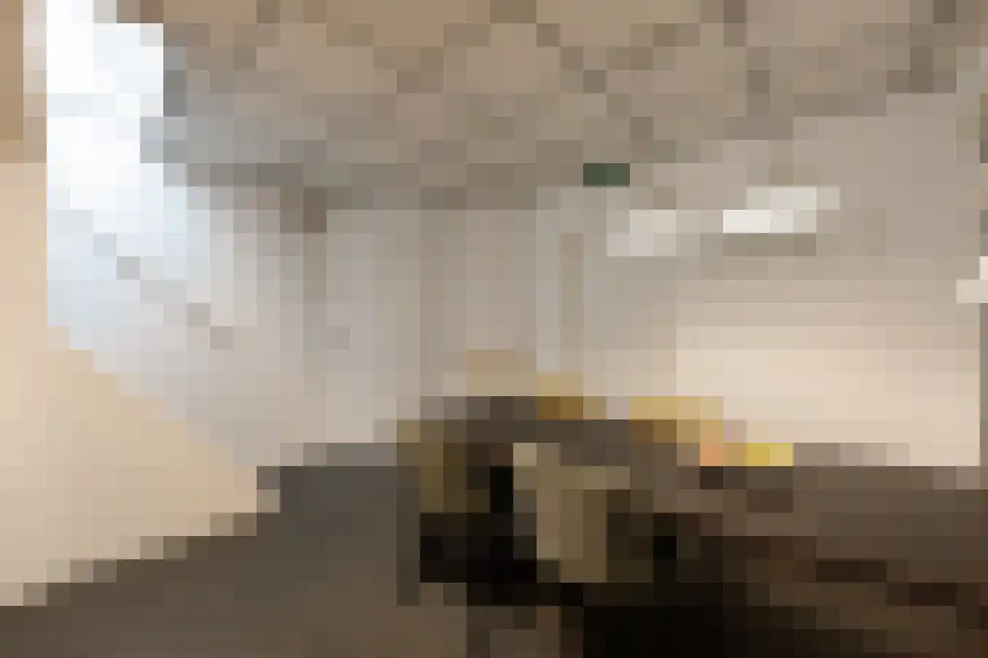 Markt 12 Makkum thumbnail 15