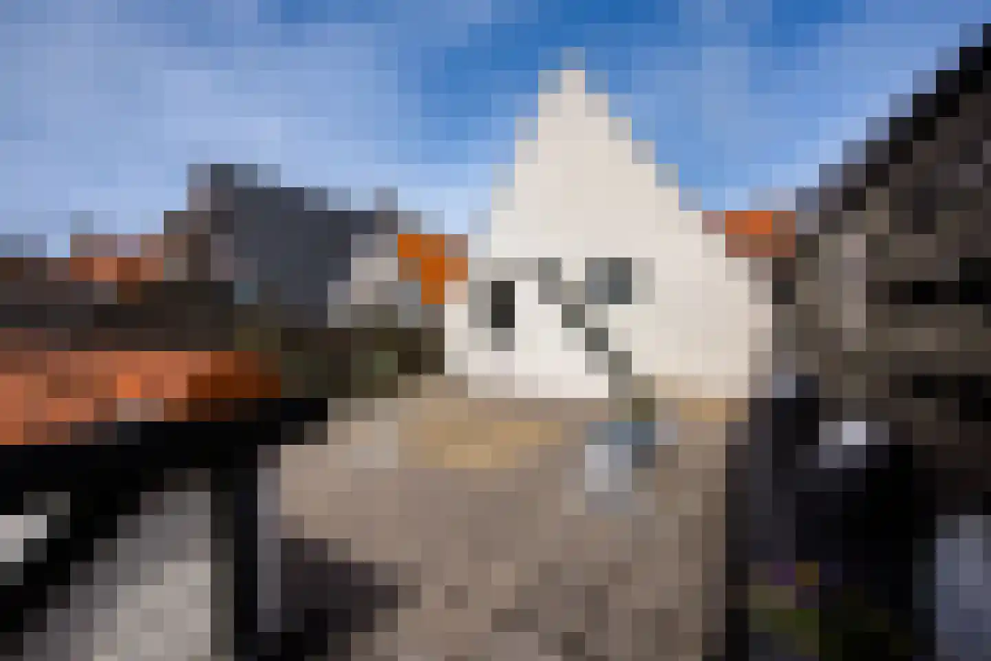 Markt 12 Makkum thumbnail 30