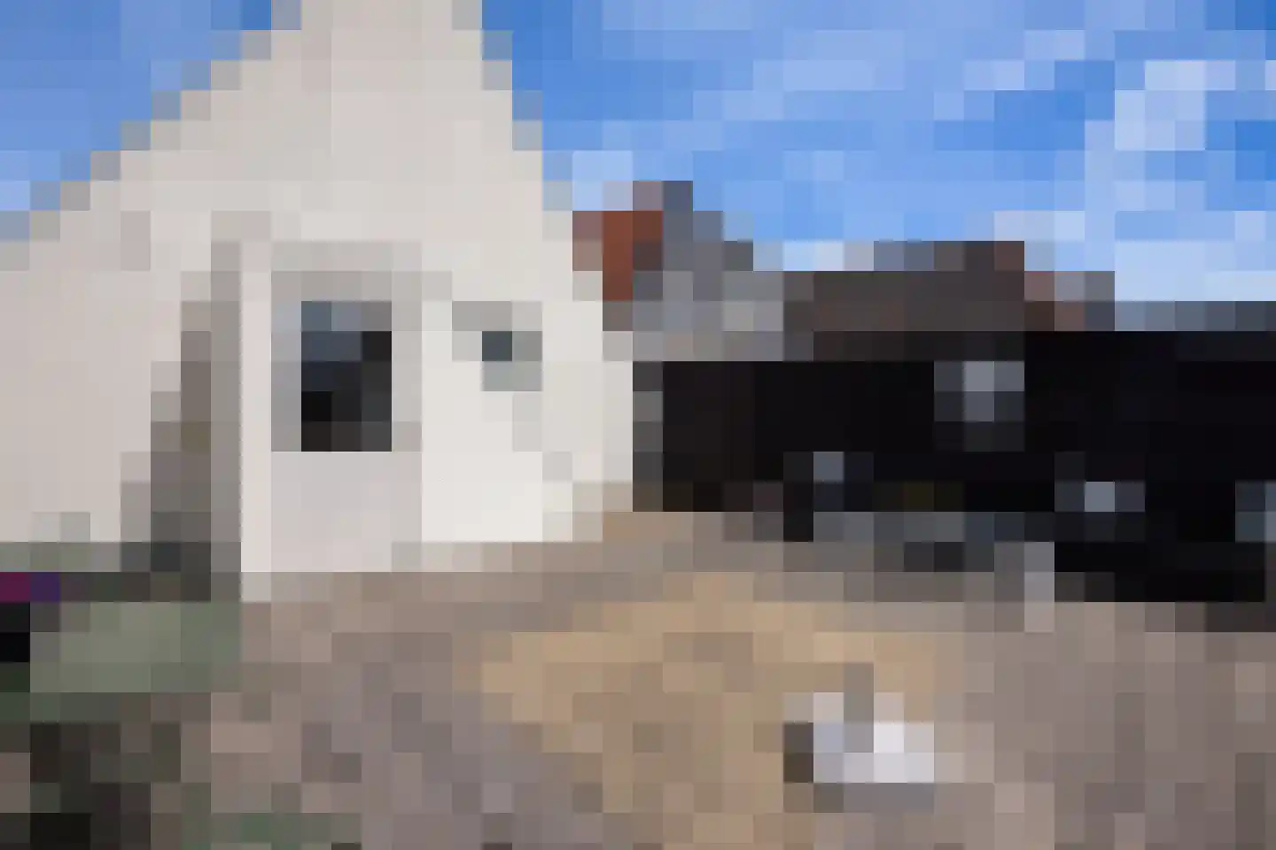 Markt 12 Makkum thumbnail 31