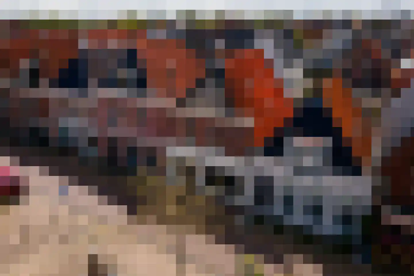 Markt 12 Makkum thumbnail 6