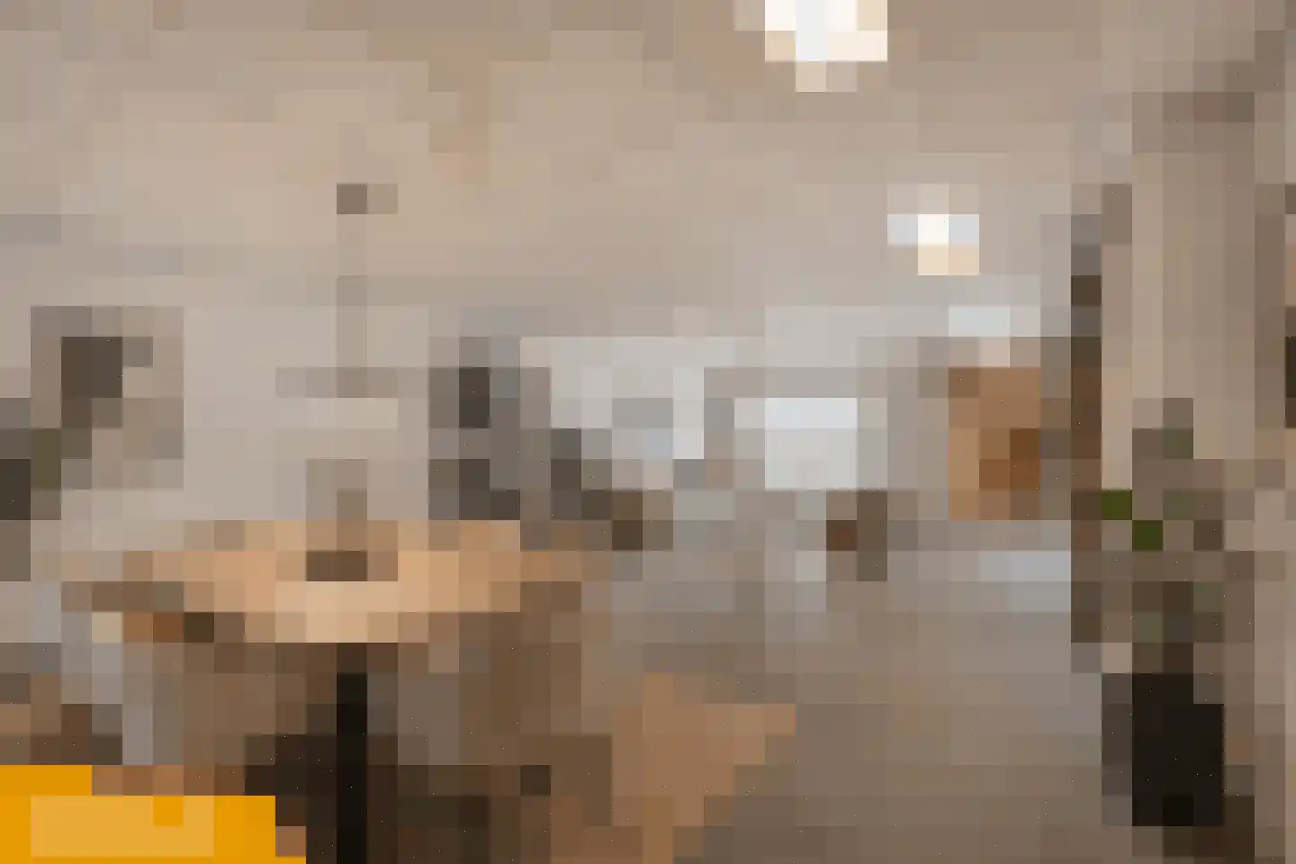 Markt 12 Makkum thumbnail 8