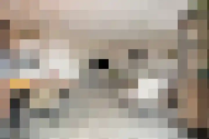 Markt 125 Dedemsvaart thumbnail 13