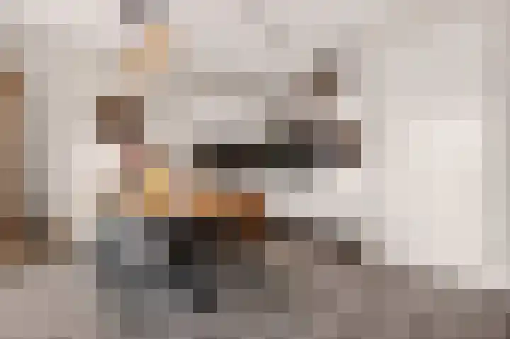Markt 125 Dedemsvaart thumbnail 16
