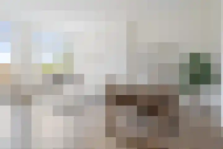 Markt 13 D Etten-Leur thumbnail 6