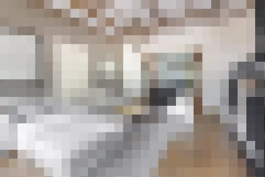 Markt 13 Wouw thumbnail 13