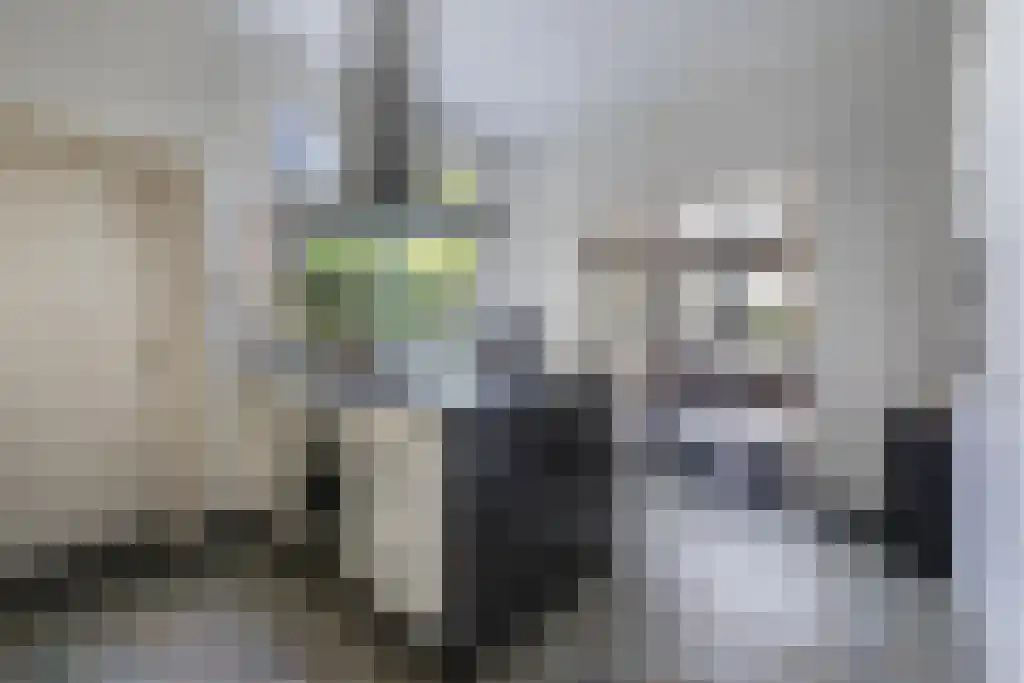Markt 13 Wouw thumbnail 27