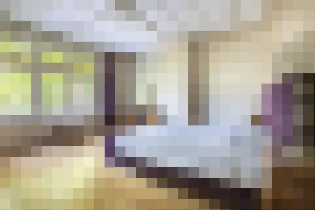 Markt 13 Wouw thumbnail 45