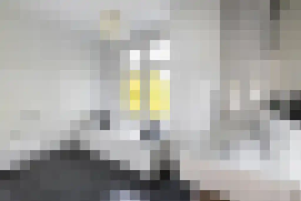 Markt 13 Wouw thumbnail 5
