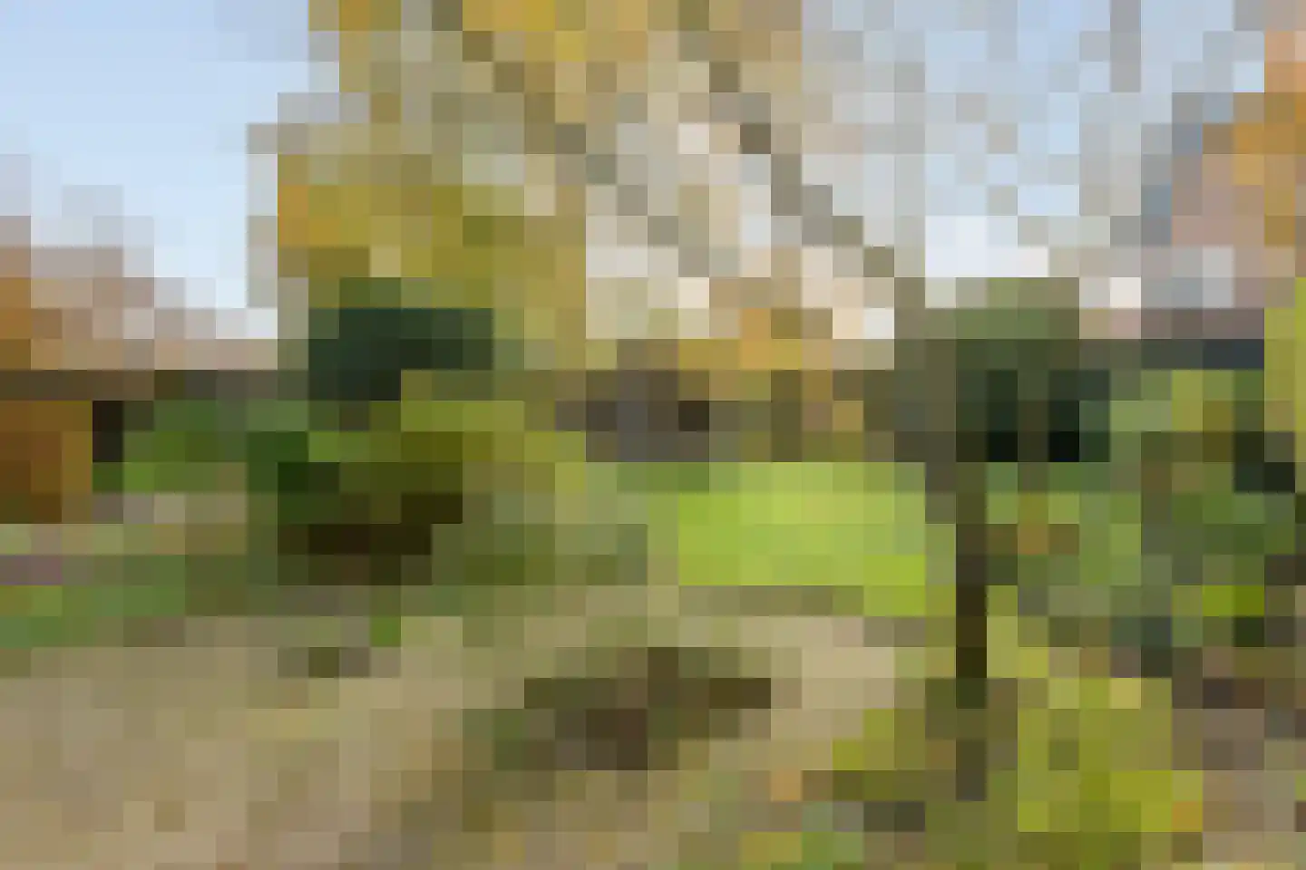 Markt 14 Ossendrecht thumbnail 5