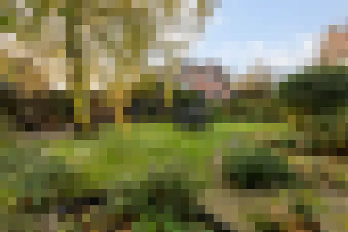 Markt 14 Ossendrecht thumbnail 63