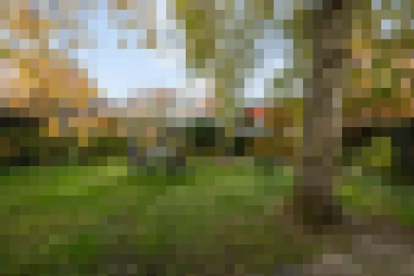 Markt 14 Ossendrecht thumbnail 65