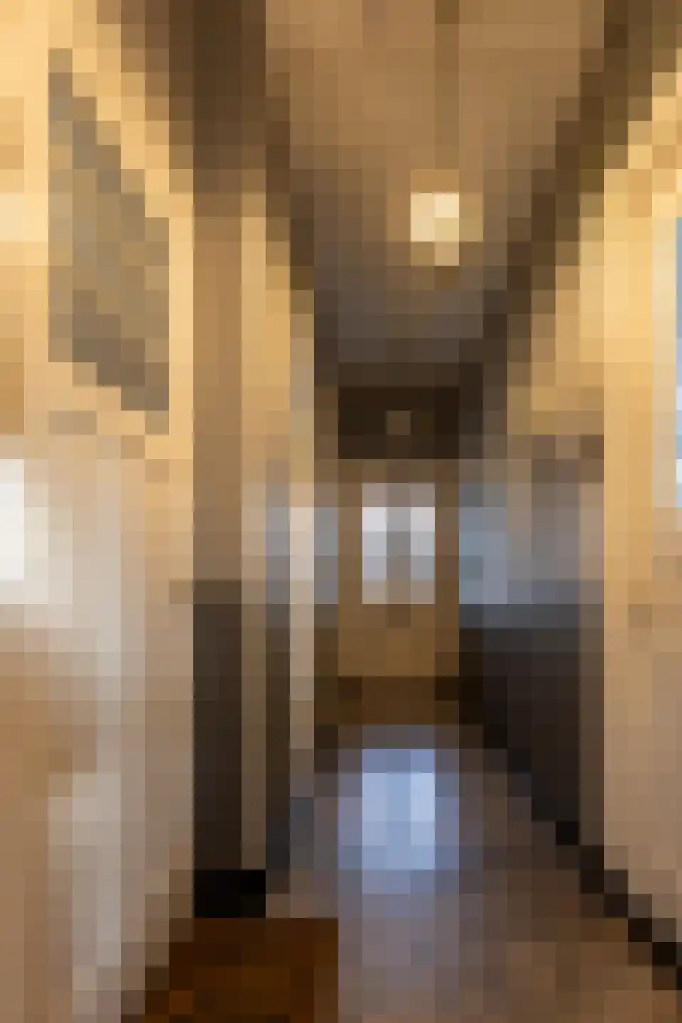 Markt 14 Ossendrecht thumbnail 8