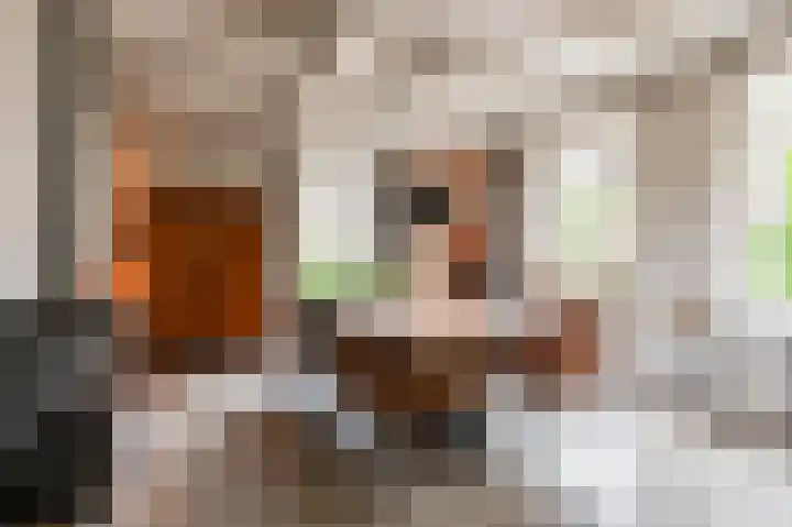 Markt 15 Beusichem thumbnail 24