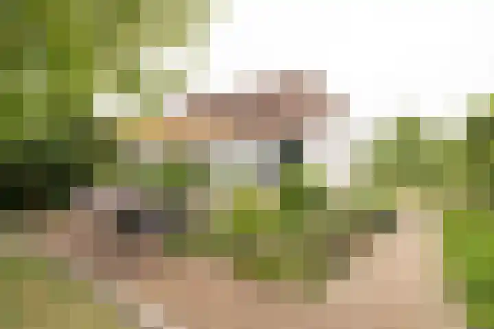 Markt 15 Beusichem thumbnail 30