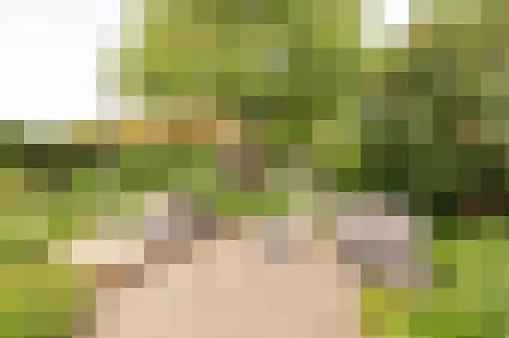 Markt 15 Beusichem thumbnail 32