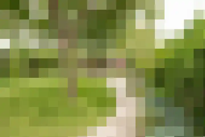 Markt 15 Beusichem thumbnail 33
